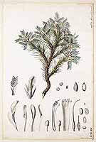  no thumbnail available