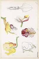  no thumbnail available