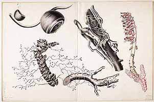  no thumbnail available