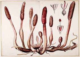  no thumbnail available