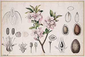  no thumbnail available