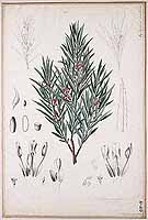  no thumbnail available