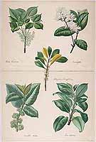  no thumbnail available