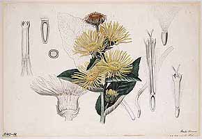  no thumbnail available