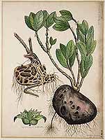  no thumbnail available