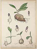  no thumbnail available