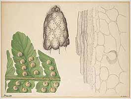  no thumbnail available