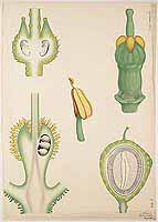  no thumbnail available