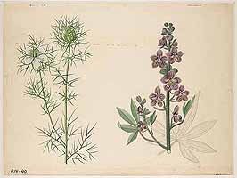  no thumbnail available