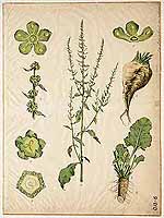  no thumbnail available