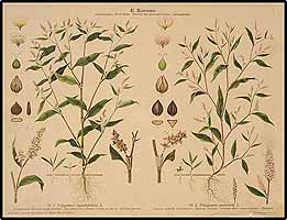  no thumbnail available