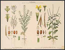  no thumbnail available