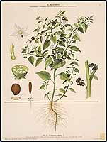  no thumbnail available