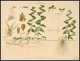  no thumbnail available