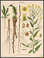  no thumbnail available