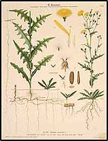  no thumbnail available