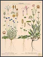  no thumbnail available