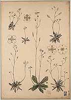  no thumbnail available