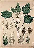  no thumbnail available