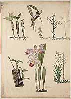  no thumbnail available