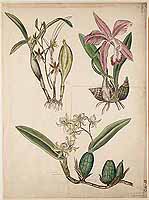  no thumbnail available