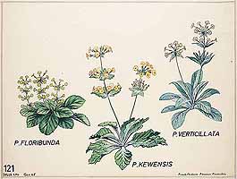  no thumbnail available