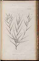  no thumbnail available