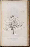  no thumbnail available