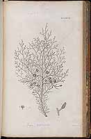  no thumbnail available