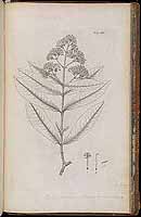  no thumbnail available