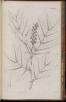  no thumbnail available