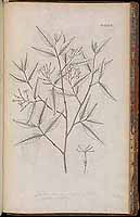  no thumbnail available