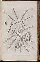  no thumbnail available