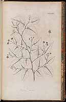  no thumbnail available