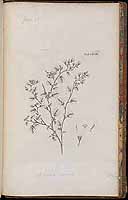  no thumbnail available