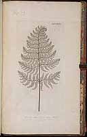  no thumbnail available