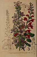  no thumbnail available