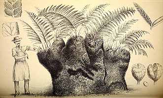  no thumbnail available