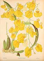  no thumbnail available