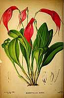  no thumbnail available