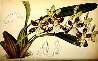  no thumbnail available