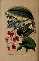  no thumbnail available