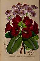  no thumbnail available