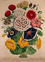  no thumbnail available