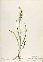  no thumbnail available