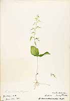  no thumbnail available