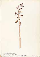  no thumbnail available