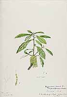  no thumbnail available