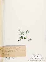  no thumbnail available