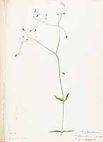  no thumbnail available